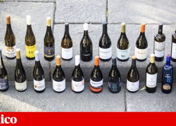 Em prova: Alvarinho mostra os seus trunfos