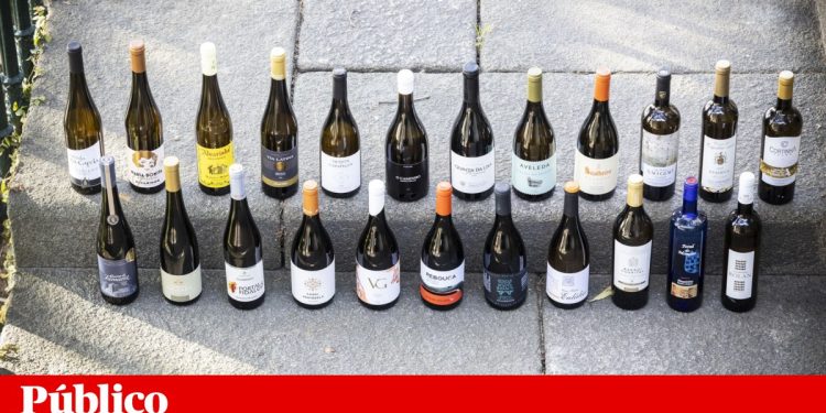 Em prova: Alvarinho mostra os seus trunfos