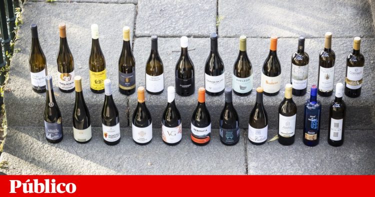 Em prova: Alvarinho mostra os seus trunfos