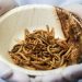 Futuro da alimentação passa pela carne de laboratório e insetos