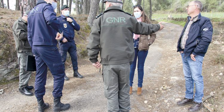 GNR e autarquia alertam para limpeza dos terrenos