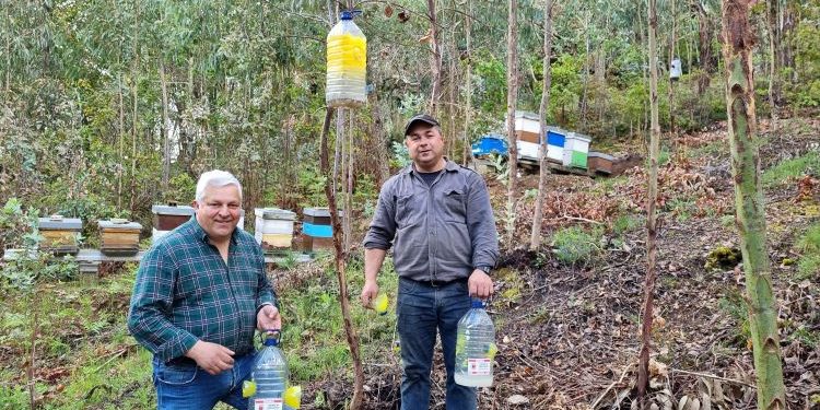 JF de Miranda do Corvo colocou armadilhas para combate à vespa Asiática