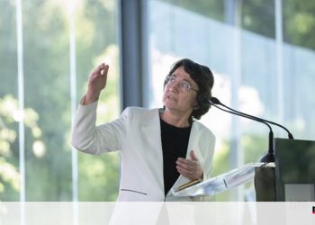 Júlia Seixas: “Temos de investir em floresta como se investiu em energias renováveis”