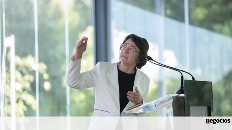 Júlia Seixas: “Temos de investir em floresta como se investiu em energias renováveis”