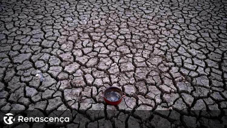 Projeto vocacionado para as alterações climáticas junta no Alentejo especialistas internacionais
