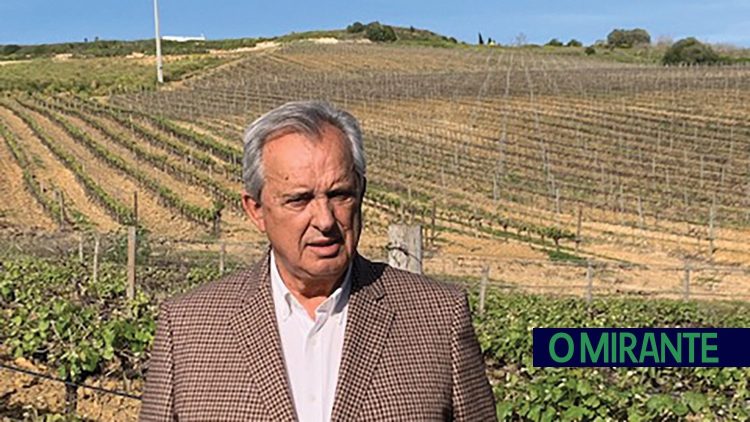 Subida de preços e burocracia dificultam vida aos produtores de vinho