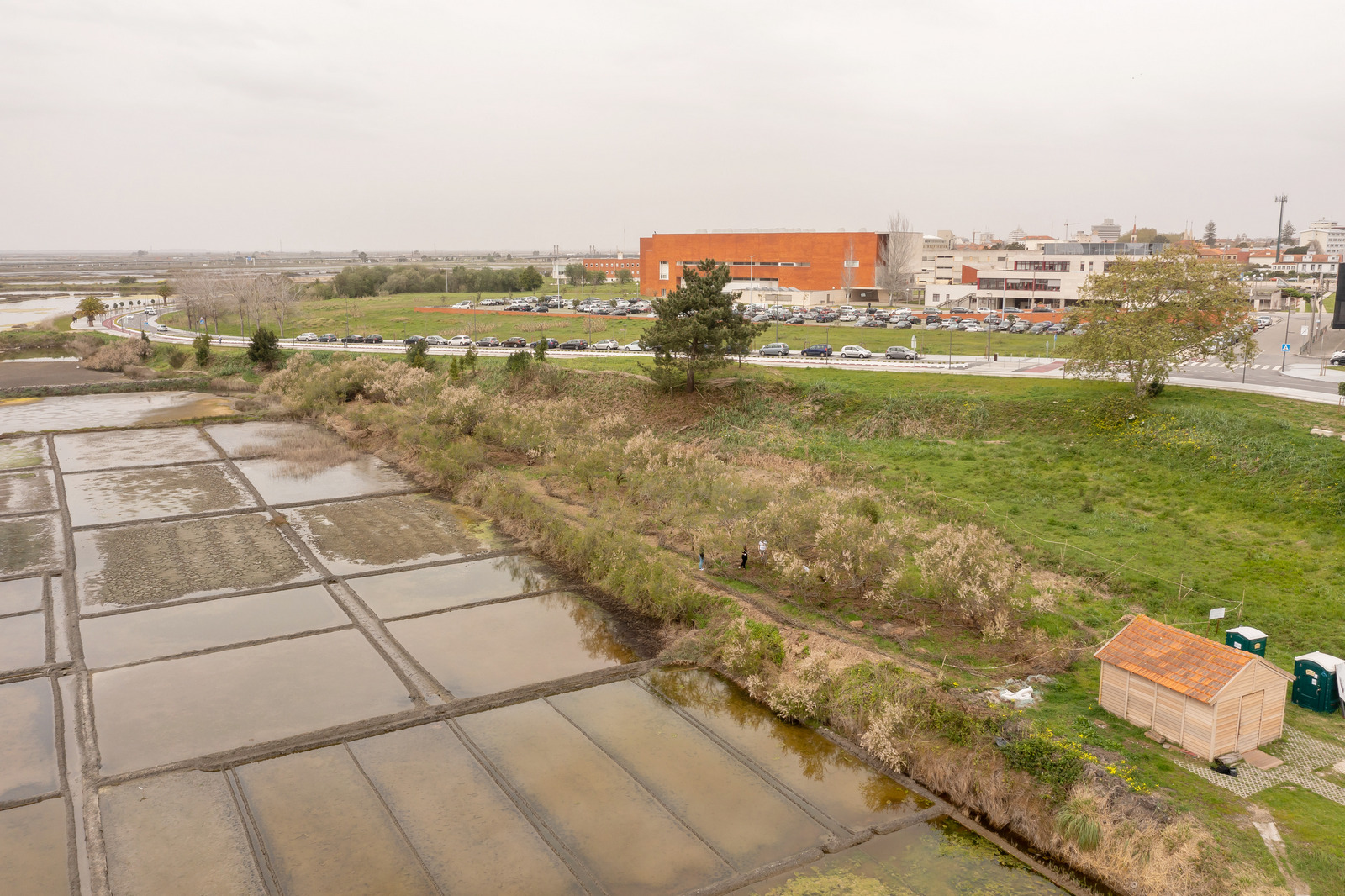 Trabalhos de regeneração vegetal na Marinha Santiago da Fonte