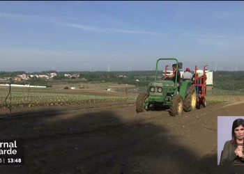 agricultura