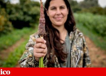 agricultura