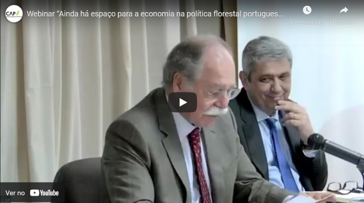 ainda ha espaço para economia na política florestal portuguesa