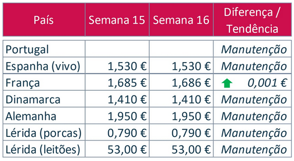 bolsa do porco 15