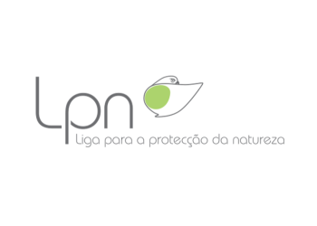 LPN Logo