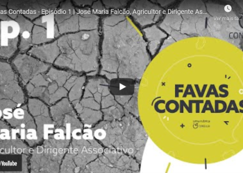 favas contadas