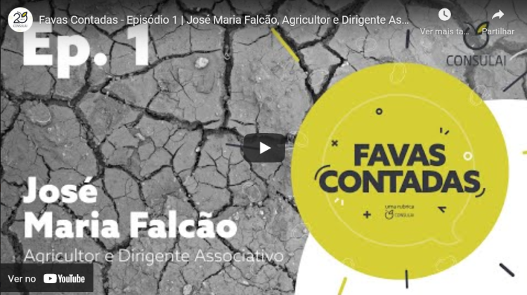 favas contadas