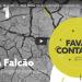 favas contadas