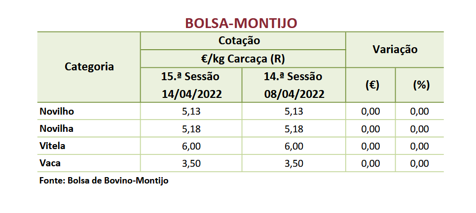 cotações bovinos