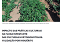 impacto práticas culturais
