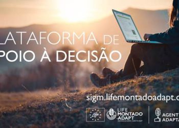 plataforma montado