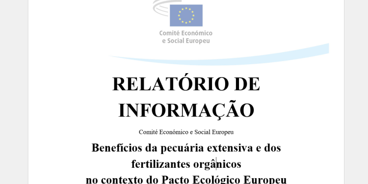 Relatório informação