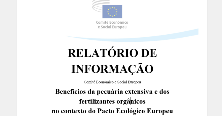 Relatório informação