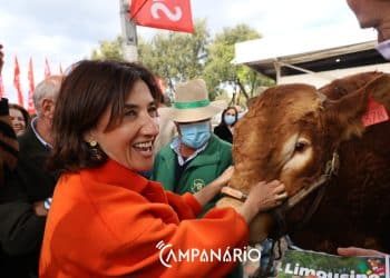 Ministra da Agricultura inaugura Feira de Garvão