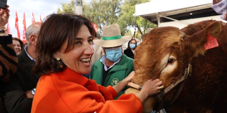 Ministra da Agricultura inaugura Feira de Garvão