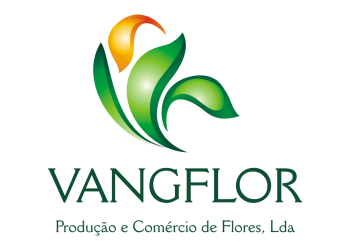 Vangflo