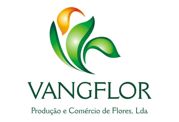 Vangflo