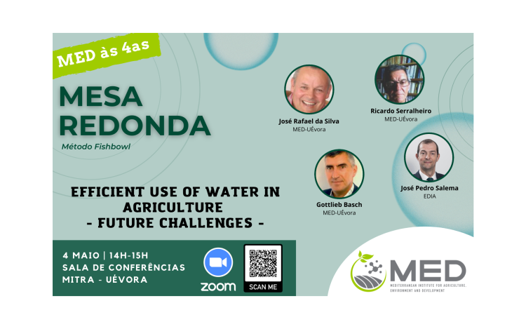 Efficient use of water in agriculture and future challenges