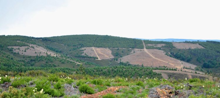 Serra da Malcata