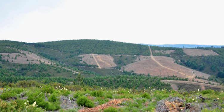 Serra da Malcata