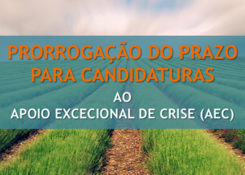 prorrogação prazo apoio excecional crise