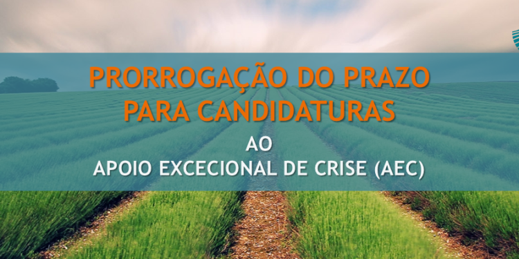 prorrogação prazo apoio excecional crise