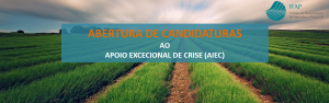 Abertura candidaturas