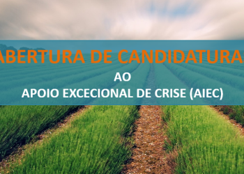 Abertura candidaturas