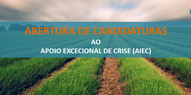 Abertura candidaturas