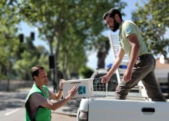 Infraestruturas de Portugal entrega sete caixas-ninho para nidificação de francelho