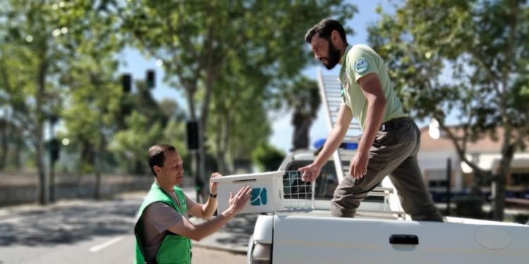 Infraestruturas de Portugal entrega sete caixas-ninho para nidificação de francelho