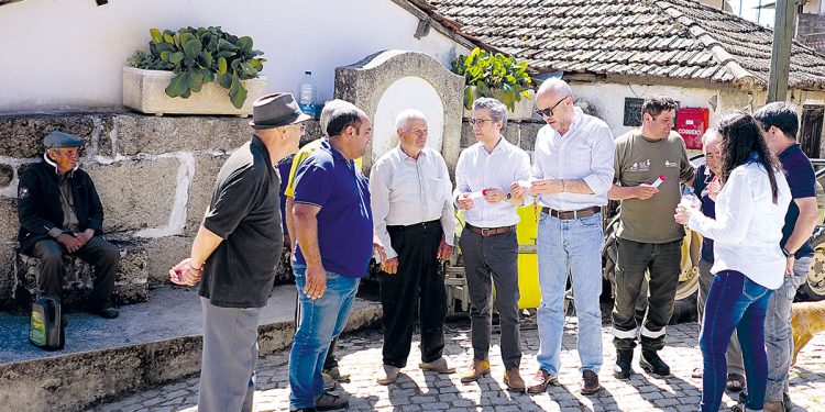 Autarquia ajuda na luta contra a vespa das galhas do castanheiro