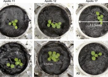 ultivar plantas em solo lunar