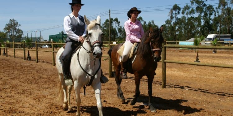 feira e tradição estão de regresso a Garvão