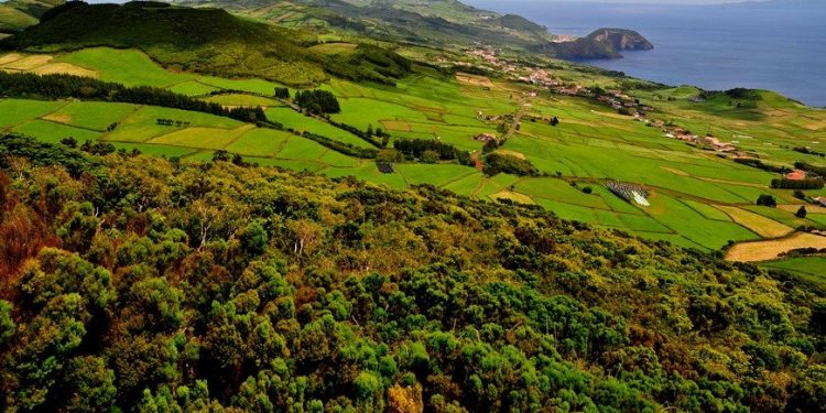 Governo-apoia-produtores-de-leite-de-Sao-Jorge