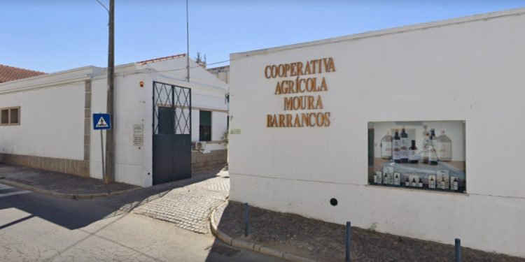 Cooperativa Agrícola de Moura e Barrancos