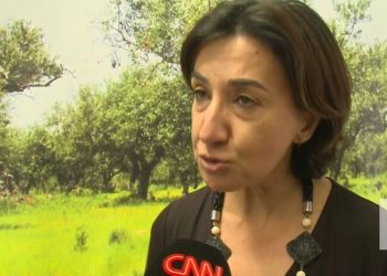 “Não temos problemas de abastecimento de cereais em Portugal”, garante a ministra da Agricultura