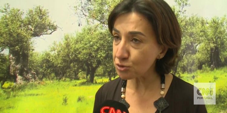 “Não temos problemas de abastecimento de cereais em Portugal”, garante a ministra da Agricultura
