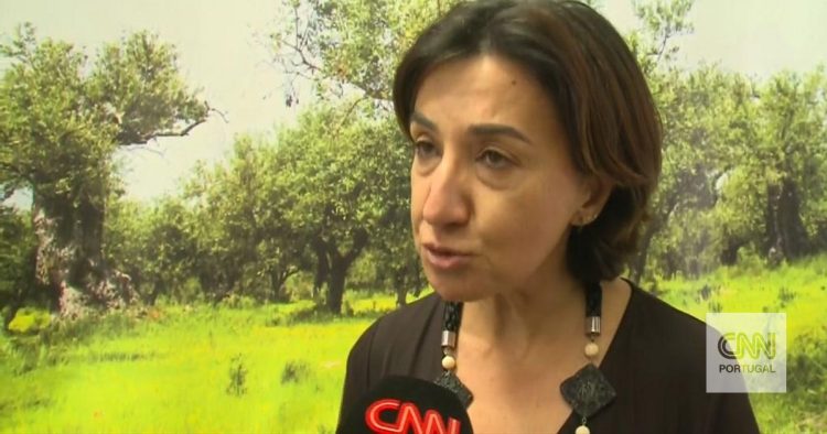 “Não temos problemas de abastecimento de cereais em Portugal”, garante a ministra da Agricultura