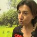 “Não temos problemas de abastecimento de cereais em Portugal”, garante a ministra da Agricultura