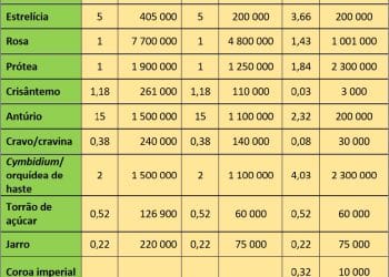 O setor da floricultura na Região Autónoma da Madeira - 2021