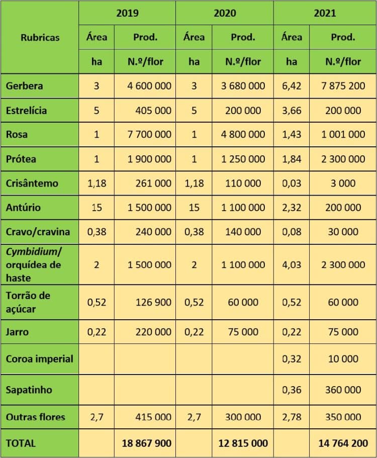 O setor da floricultura na Região Autónoma da Madeira - 2021