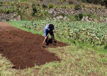 Agricultura